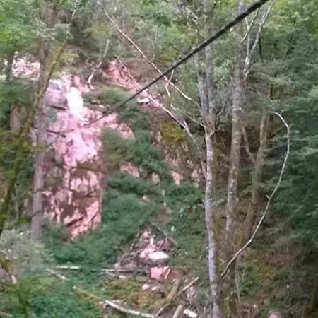 Châtel-montagne, 3 Pièces, 4 Personnes - Fr-1-489-47