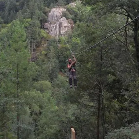 Hébergement de vacances Châtel-montagne, 3 Pièces, 4 Personnes - Fr-1-489-47 Châtel-Montagne